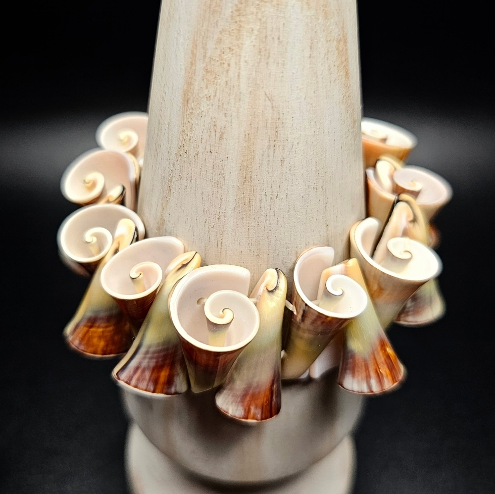Rolled trumpet shell stretch bracelet.